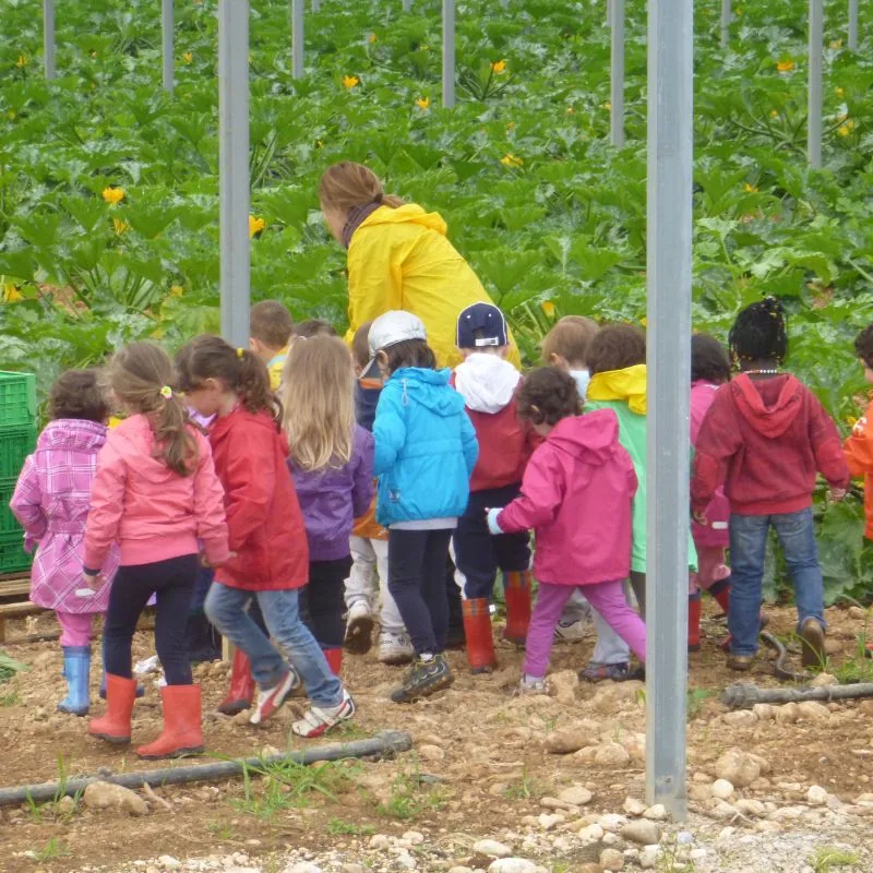 01-fattoria-didattica-bambini-visita-serra-ortofrutticola-medea