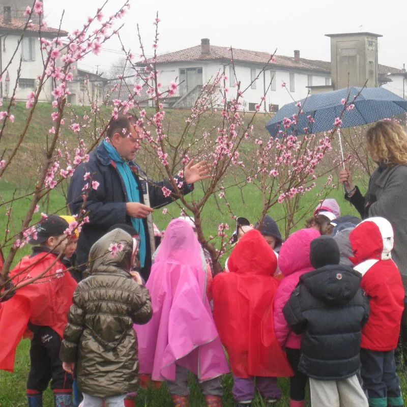 06-fattoria-didattica-bambini-fioritura-pesco-ortofrutticola-medea